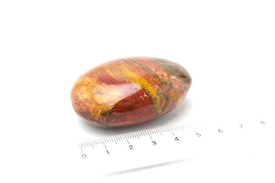 マダガスカル産　ペトリファイドウッド　珪化木　置物　パームストーン　タンブル　petrified wood　天然石　パワーストーン