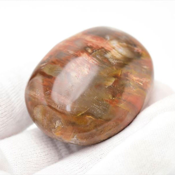 マダガスカル産　ペトリファイドウッド　珪化木　置物　パームストーン　タンブル　petrified wood　天然石　パワーストーン