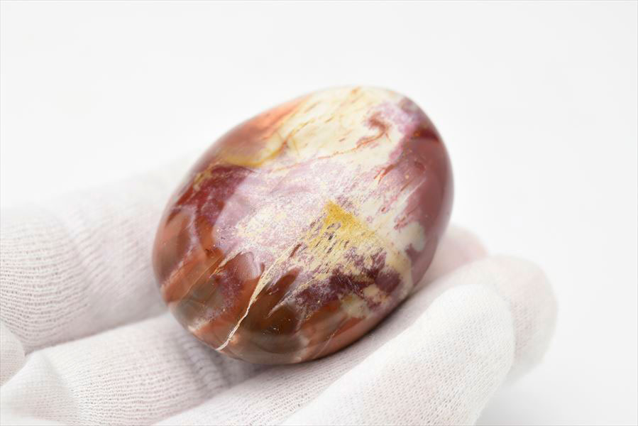 マダガスカル産　ペトリファイドウッド　珪化木　置物　パームストーン　タンブル　petrified wood　天然石　パワーストーン