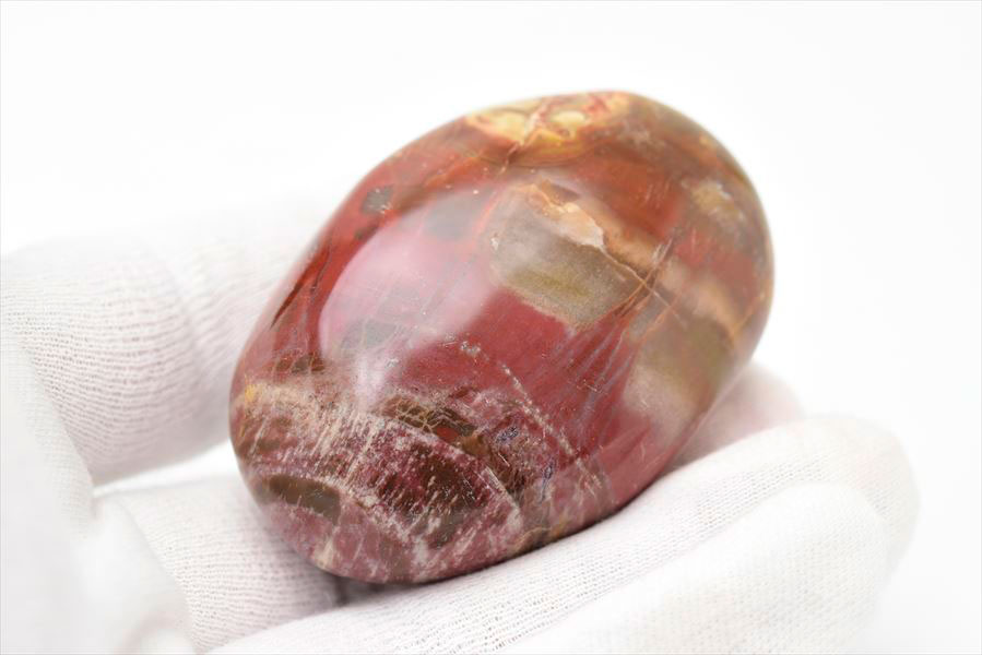 マダガスカル産　ペトリファイドウッド　珪化木　置物　パームストーン　タンブル　petrified wood　天然石　パワーストーン