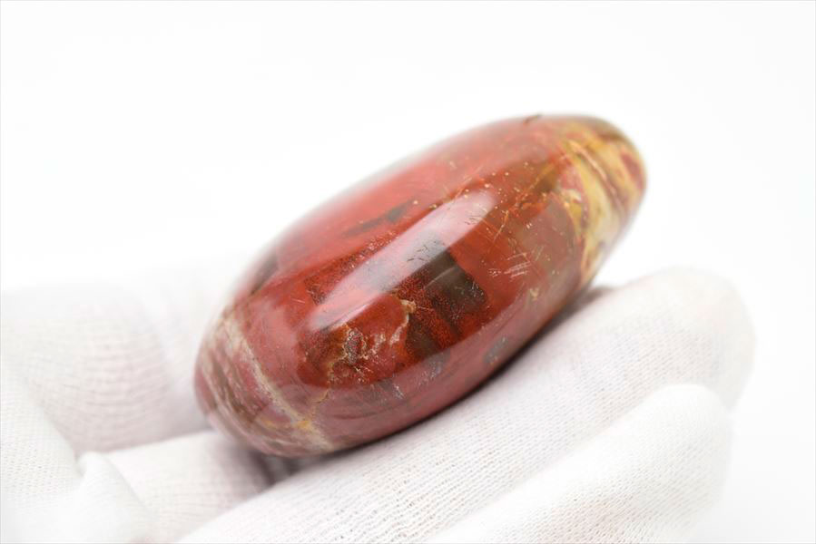 マダガスカル産　ペトリファイドウッド　珪化木　置物　パームストーン　タンブル　petrified wood　天然石　パワーストーン